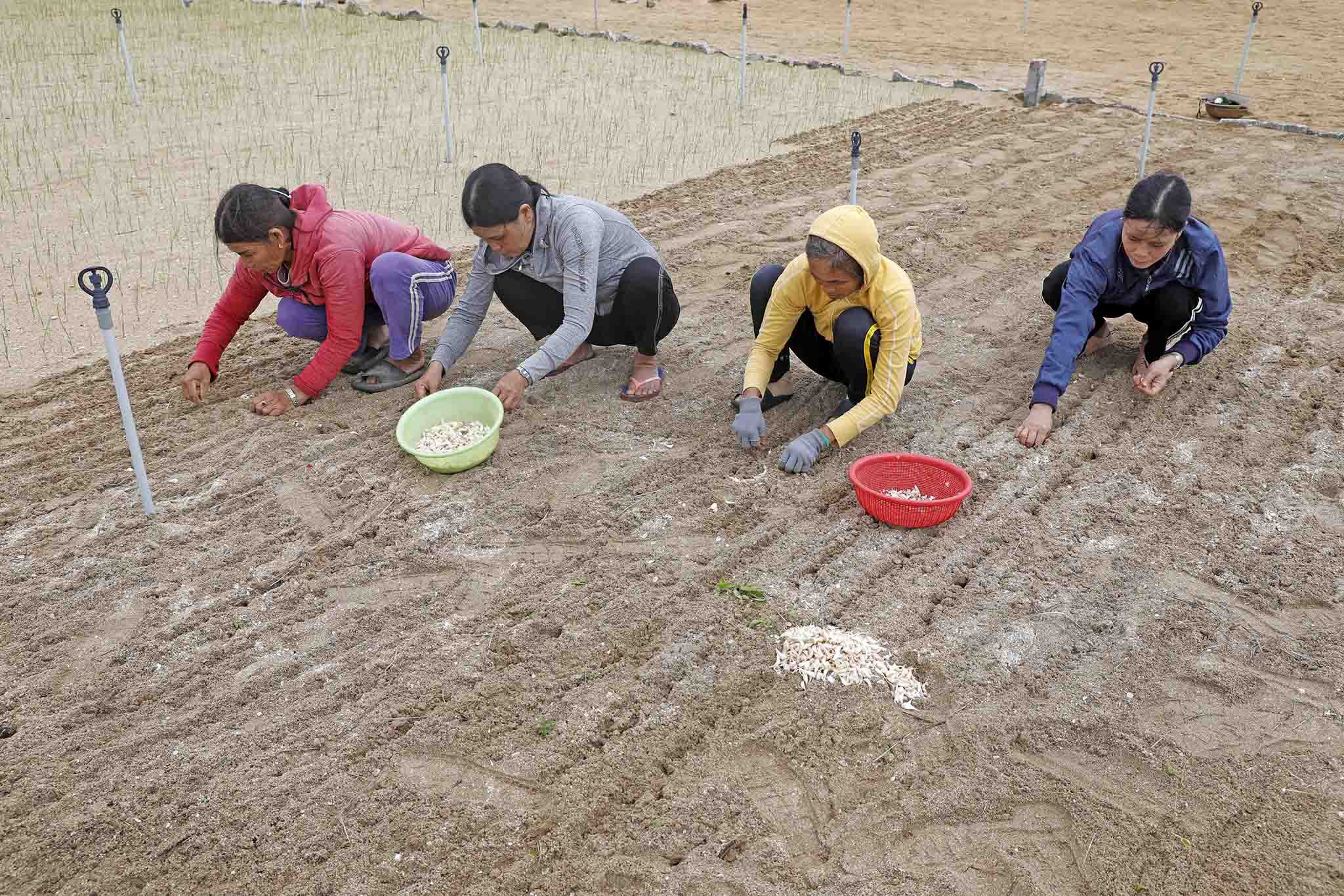 Quảng Ngãi: Vốn vay ưu đãi góp phần giảm nghèo và xây dựng nông thôn mới