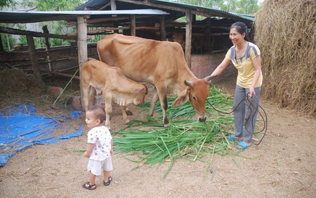 Kon Tum có 52 xã khu vực III thuộc vùng đồng bào DTTS và miền núi giai đoạn 2021-2025