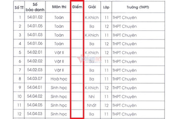 Bất ngờ không công bố điểm thi học sinh giỏi quốc gia, Bộ GD-ĐT nói gì?