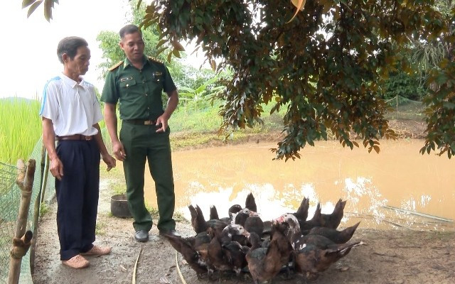 Hiệu ứng từ những mô hình hay