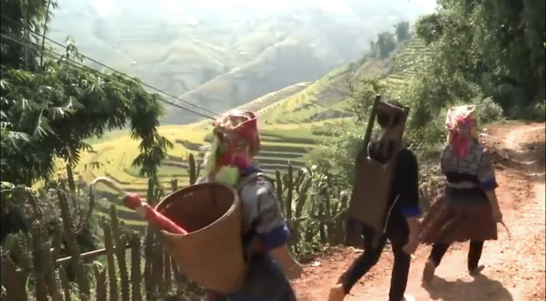 Nâng khả năng sản xuất hàng hóa gắn với thị trường tại vùng đồng bào dân tộc