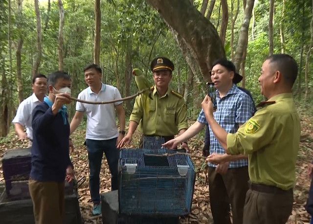 Vietnam takes drastic action to combat wildlife trafficking and protect biodiversity