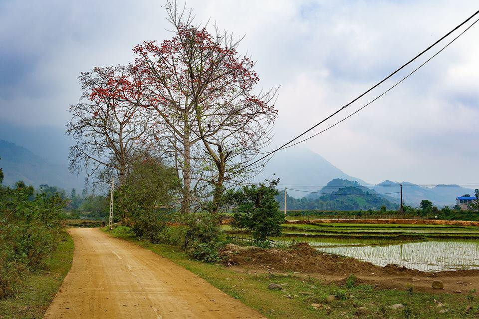 Phú Thọ: Giảm nghèo bao trùm, ưu tiên vùng lõi