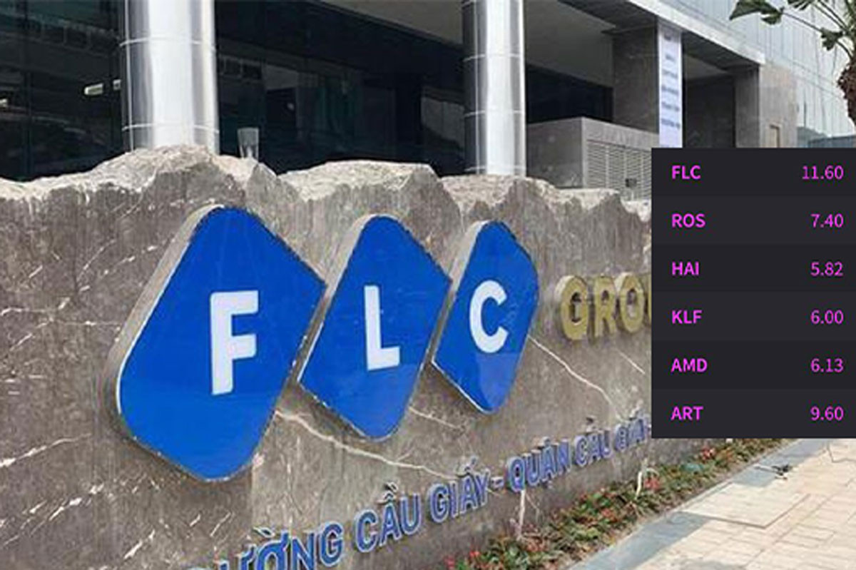 Cổ phiếu cuối cùng 'họ FLC' bị đình chỉ giao dịch