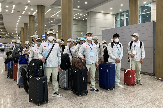 Vietnam sends rising number of workers abroad