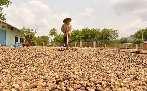 Bình Phước đưa các sản phẩm của nông thôn, nông dân thành hàng hóa