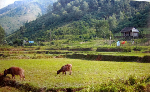 Dân tộc Chứt đã thu hẹp khoảng cách phát triển với các dân tộc khác trong vùng