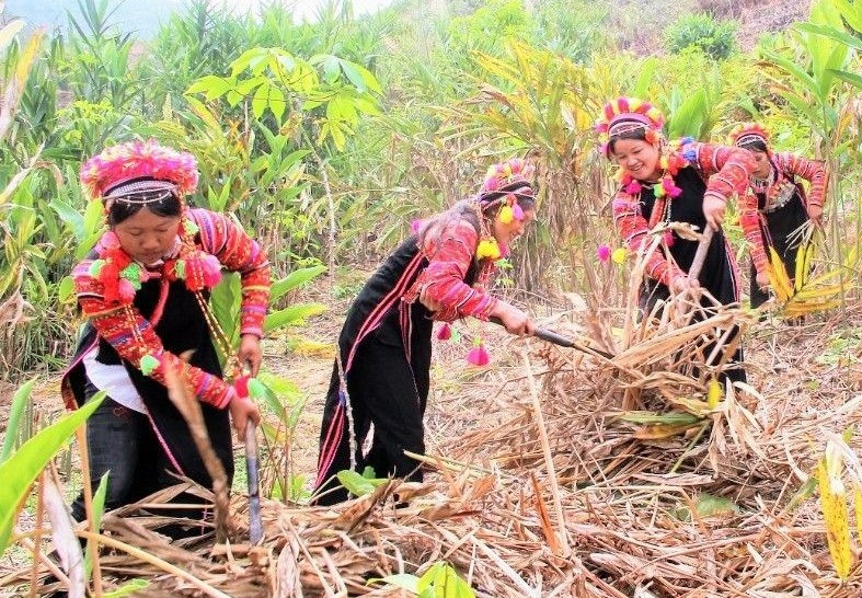 Cần những phương án kiên trì để giúp người La Hủ có cuộc sống ấm no hơn