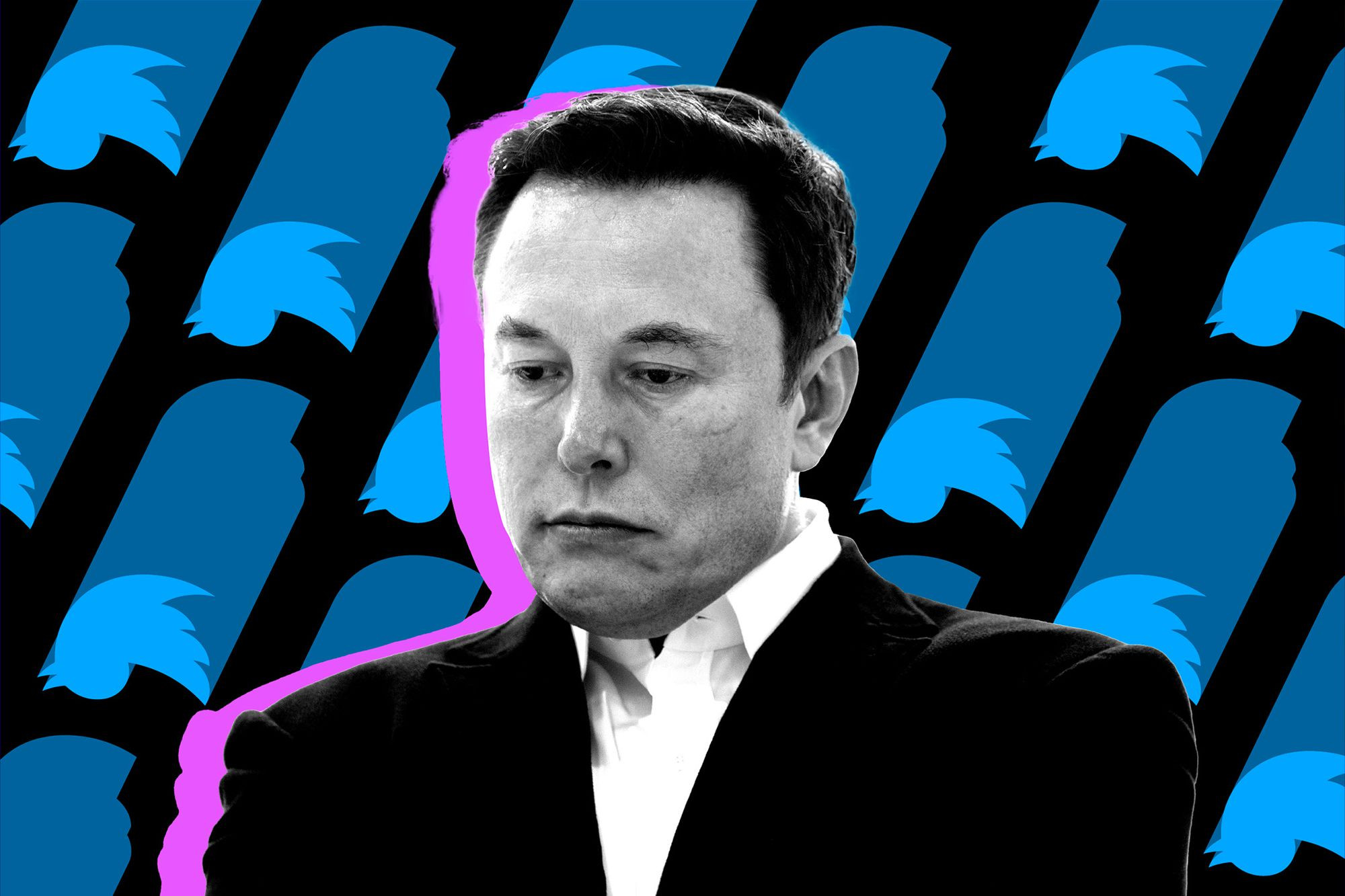 Elon Musk xin lỗi vì ‘tấn công’ một nhân viên Twitter khuyết tật