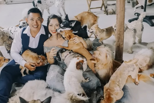 Young couple postpones wedding for 6 years to rescue pets