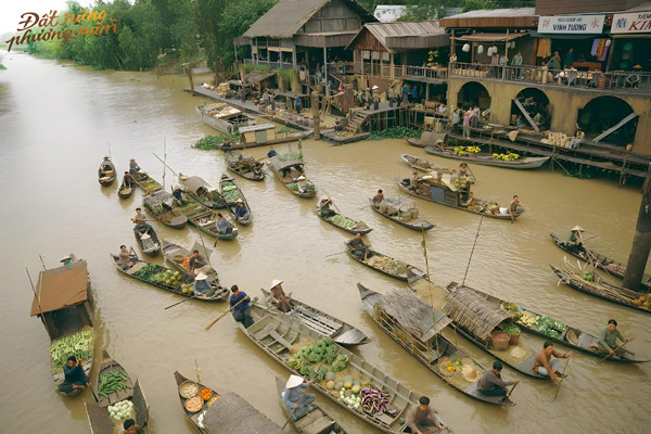 Beautiful Tra Su melaleuca forest featured in movies