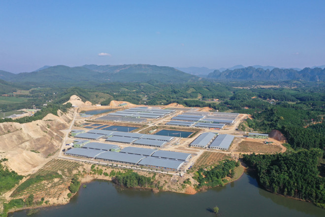 Xuân Thiện Group nỗ lực tận dụng lợi thế từ các nguồn lực quốc tế