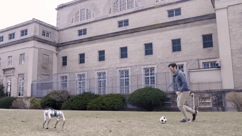 Xem robot chó AI chơi bóng đá bất chấp địa hình