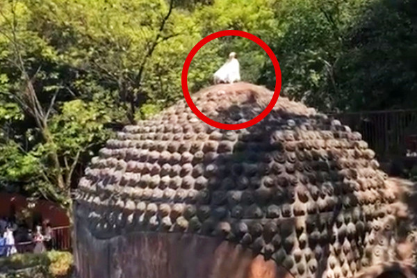 Nữ du khách 'gây sốc' khi trèo lên đầu tượng Phật cao nhất Trung Quốc ngồi thiền