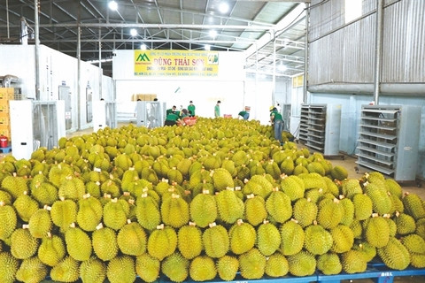Vietnam's farm produce face more difficulties in export to China