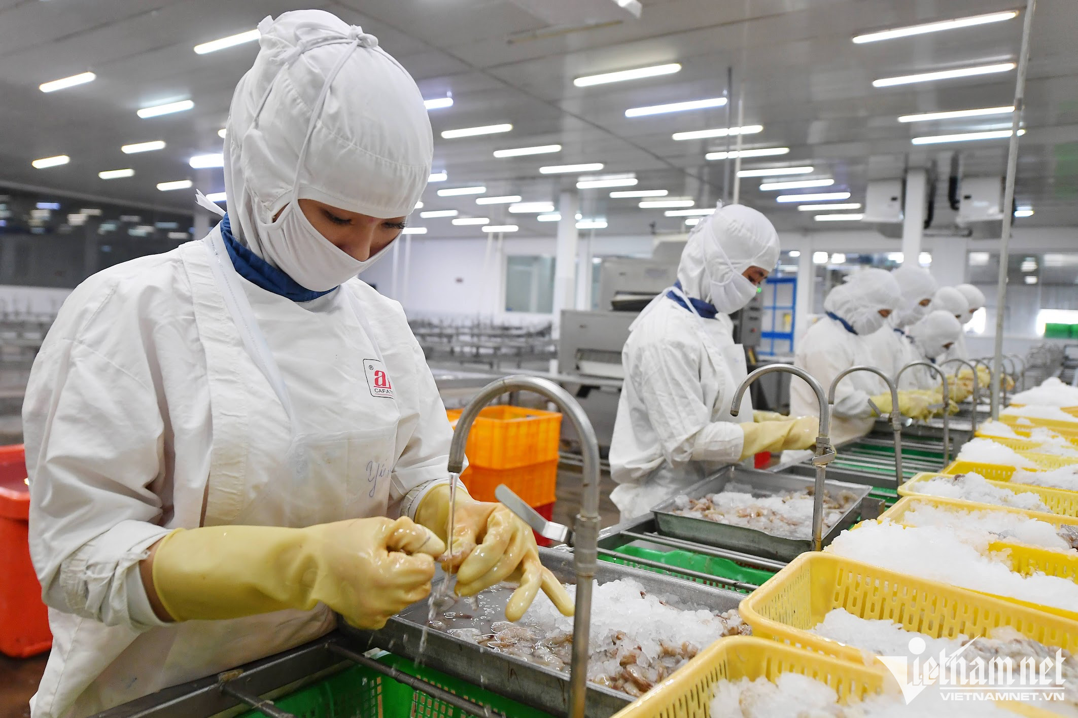 Japan emerges as largest consumer of Vietnamese seafood
