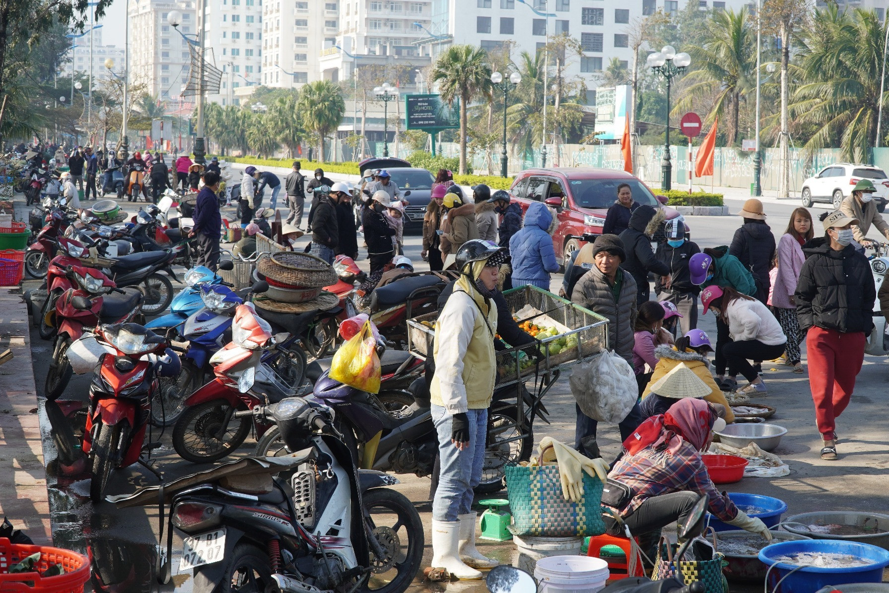 Hải sản bày bán nhếch nhác, bốc mùi trên đường ven biển đẹp nhất Sầm Sơn