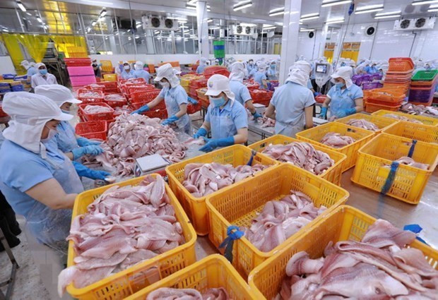 Japan tops importers of Vietnam’s fishery products in Q1 hinh anh 1