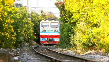 Vietnam's 3,000km flower-path project takes root, but safety concerns loom