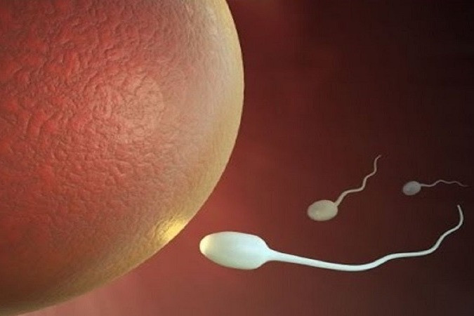 Sai lầm khi kiêng 'yêu' để tích trữ tinh trùng