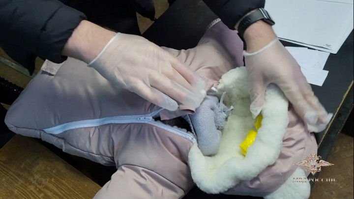 Ngụy trang mèo thành trẻ sơ sinh để đi buôn ma túy