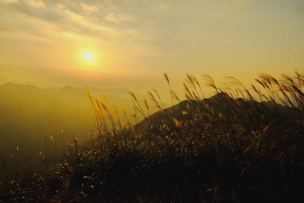 ﻿Basking in the beauty of Binh Lieu