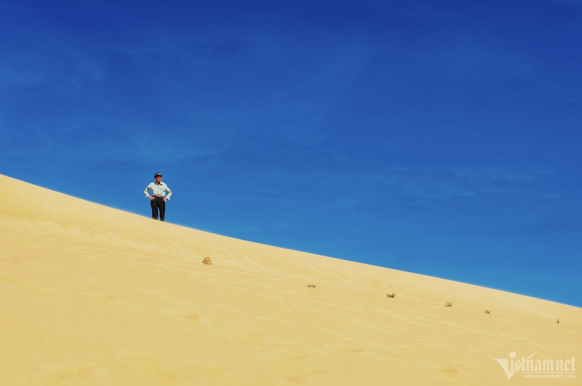 picturesque giant sand dunes across vietnam picture 9