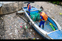 Kênh Nhiêu Lộc - Thị Nghè ngập kín rác, cá chết bốc mùi sau mưa đầu mùa