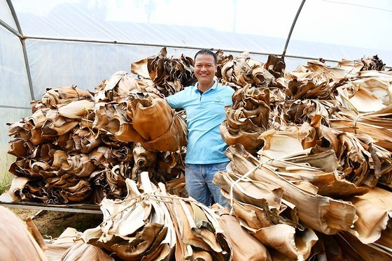 Vietnamese man turns areca spathe into items for exports ảnh 5