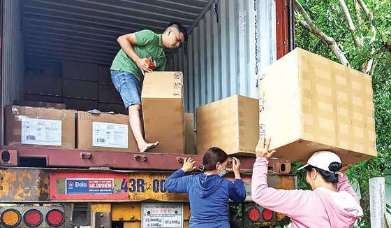 Vietnamese man turns areca spathe into items for exports ảnh 7