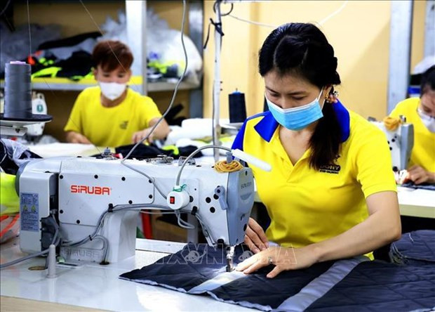 Garment sector must go green to ensure sustainable development hinh anh 2