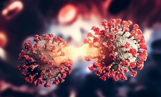 Hanoi health agency finds out XBB.1.5 variant ảnh 1