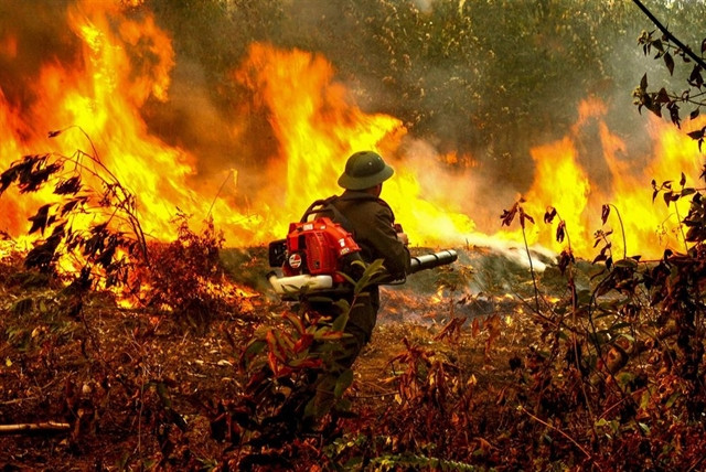 Photographer snaps up endless awards