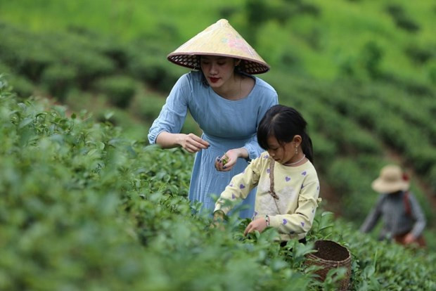 Agrotourism breathes fresh air to rural development hinh anh 1