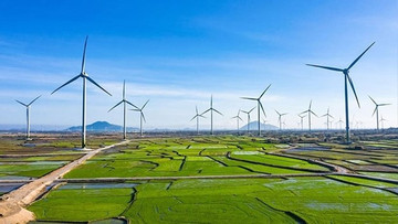 Vietnam’s green economy expected to reach US$300 billion by 2050