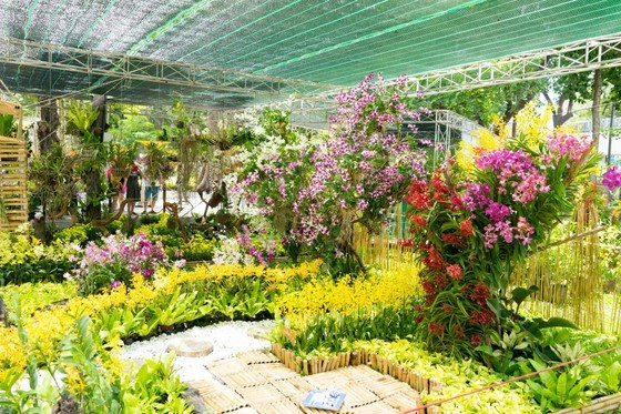 HCMC Orchid Festival to resume after 4-year suspension of Covid-19 ảnh 2