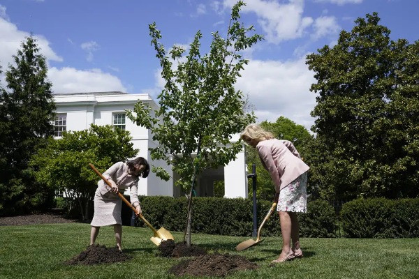 Hai đệ nhất phu nhân Mỹ - Nhật Bản cùng trồng cây anh đào