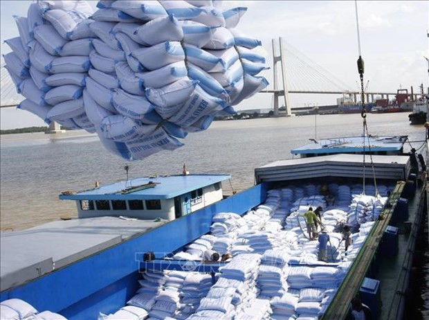 Philippines - biggest importer of Vietnamese rice in Q1 hinh anh 1