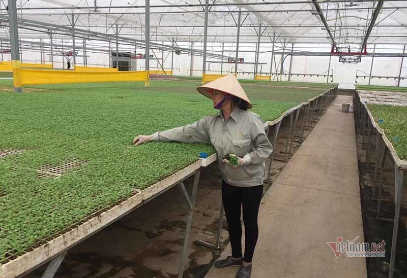 Weak property rights clip wings of enterprises