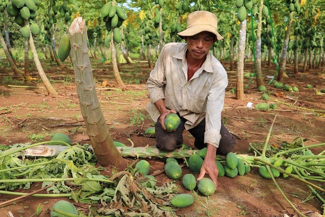 Rớt nước mắt chuyện đòn thù hiểm ác nhắm vào kinh tế của đối phương