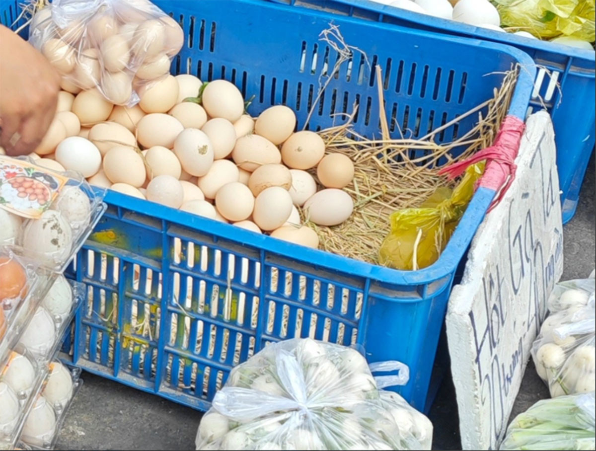 ไข่ไก่อุตสาหกรรมมีราคาแพงกว่าไข่ไก่ในประเทศ