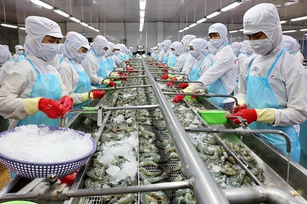 Shrimp industry optimises advantages for development hinh anh 1