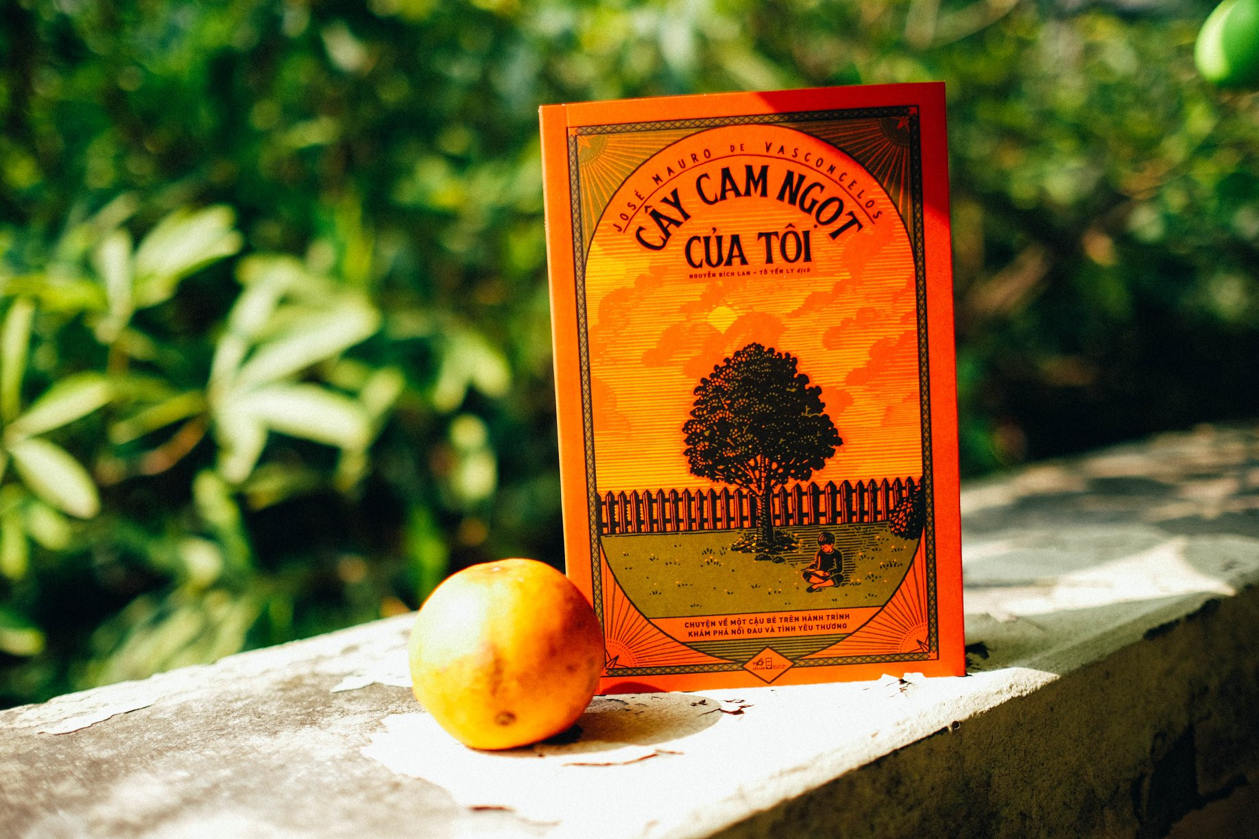 Tác giả ‘Cây cam ngọt của tôi’: Hào quang rực rỡ nhờ cuốn sách mỏng