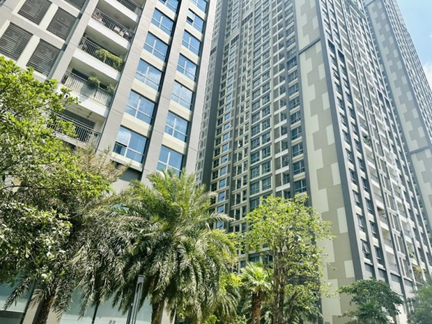 Real estate market needs credit solutions: experts hinh anh 1