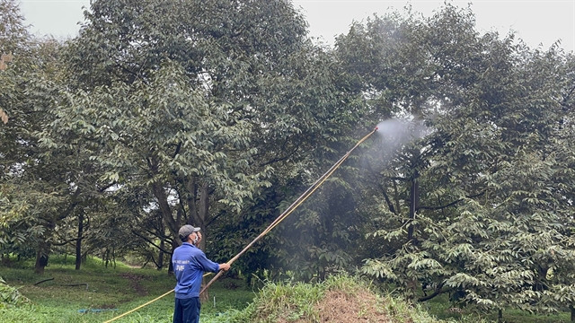 Dong Nai farmers lose harvest due to Long Thanh Airport red dust