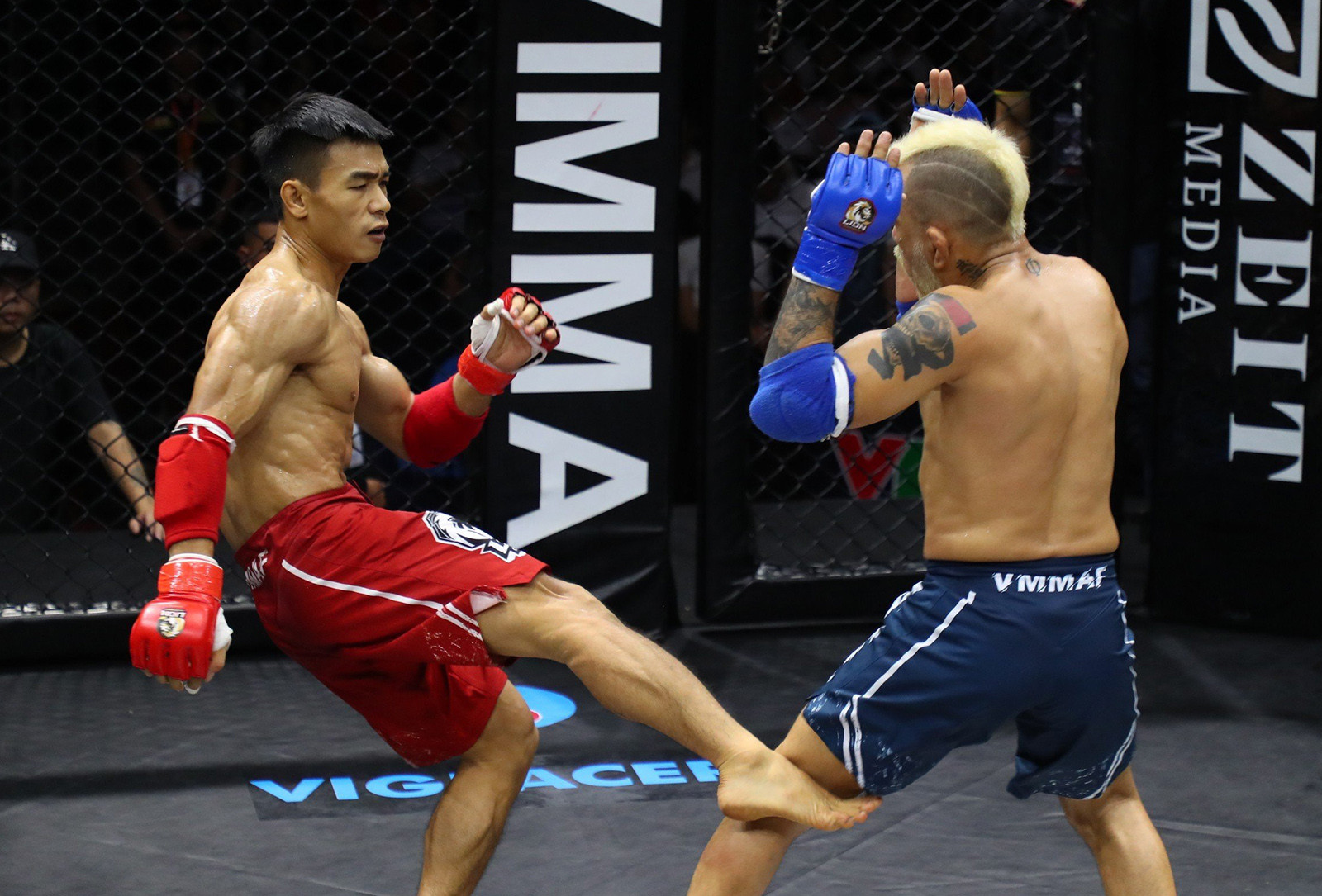 Võ sĩ Việt Nam đánh bại cao thủ MMA Brazil