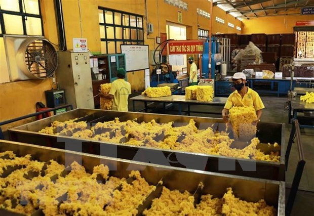 More German rubber firms wish to expand business cooperation in Vietnam hinh anh 1