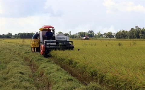 Carbon credits take root in VN agriculture sector