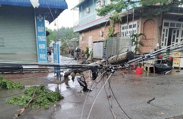 Nhiều nhà tốc mái, cột điện đổ trong trận mưa giông ở Đồng Nai