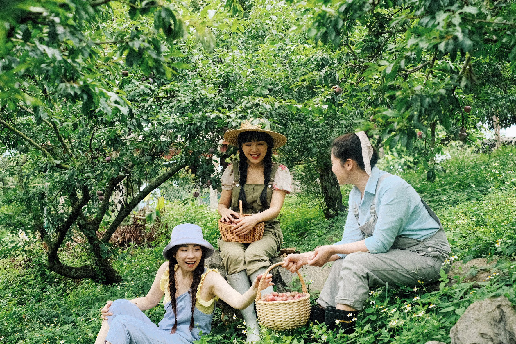 Khách đổ về Mộc Châu mùa mận chín, 'cháy phòng' kì nghỉ 30/4
